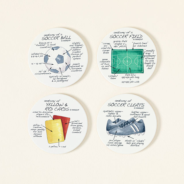 Anatomy of Sports Coasters Sports Decor Goods