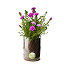 Birth Month Flower Grow Kit thumbnail 4