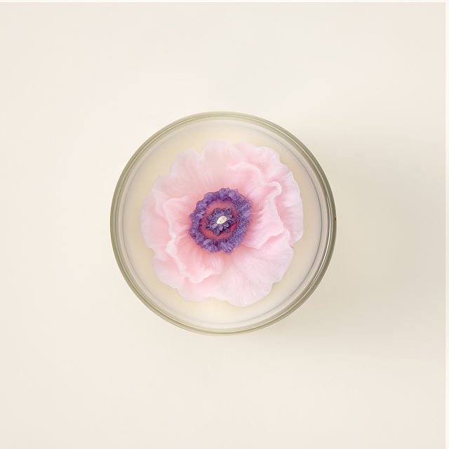 Goods Terrarium Candle Cactus Candle, Cool Candles