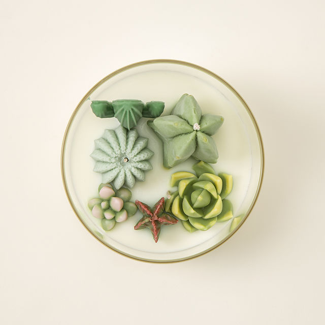 Terrarium Candle Cactus Candle, Cool Candles Goods