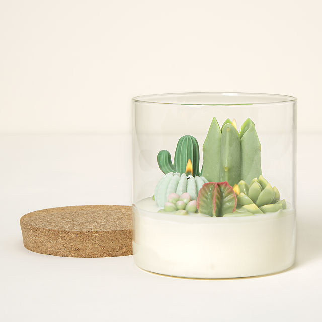 Goods Terrarium Candle Cactus Candle, Cool Candles