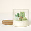 Terrarium Candle thumbnail 6