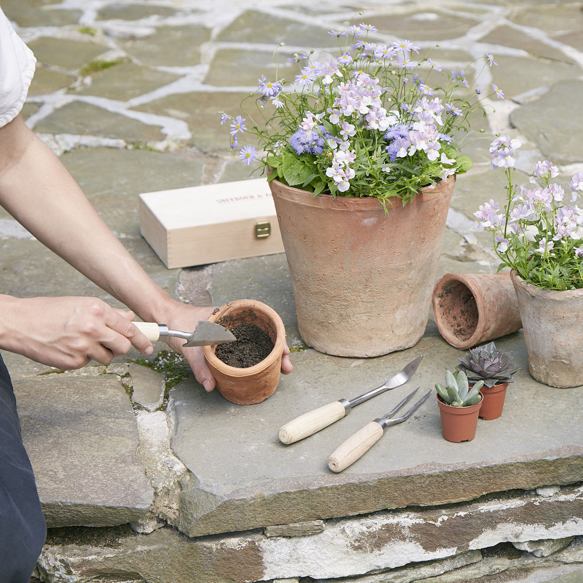 Greenhouse Garden Tool Gift Set House Plant Tools, Dutch Gardening