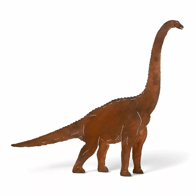 Large