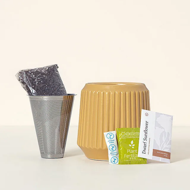 Self-Watering Sunflower Grow Kit