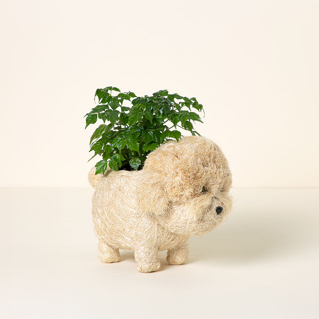 Coconut Fiber Dog Planter