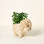 Coconut Fiber Dog Planter thumbnail 5