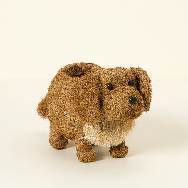 Coconut Fiber Dog Planter