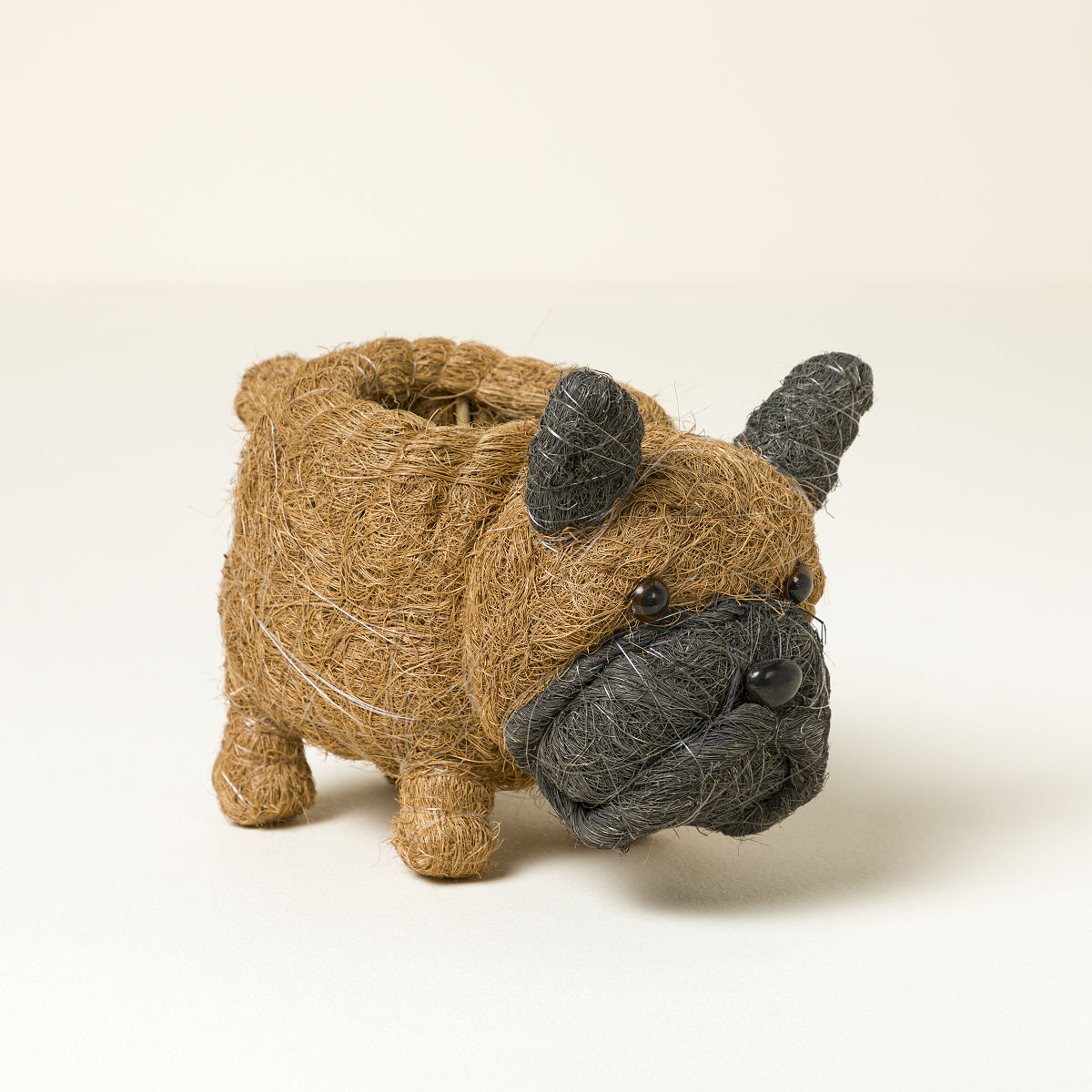 Coconut Fiber Dog Planter - French Bulldog Puppy