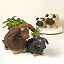 Coconut Fiber Dog Planter thumbnail 4