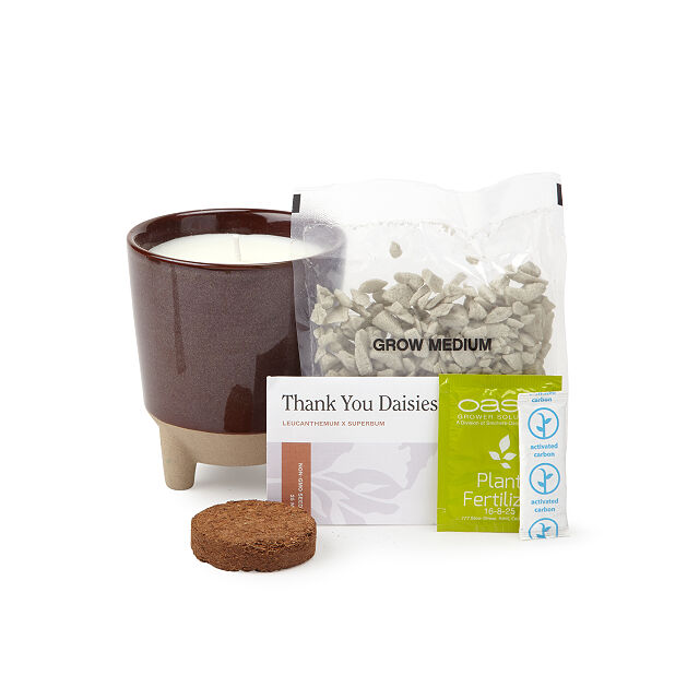 Glow & Grow Candle Grow Kit Indoor Garden Goods