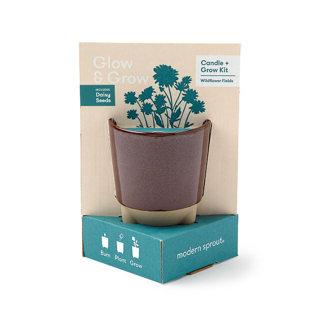 Glow & Grow Candle Grow Kit Indoor Garden Goods