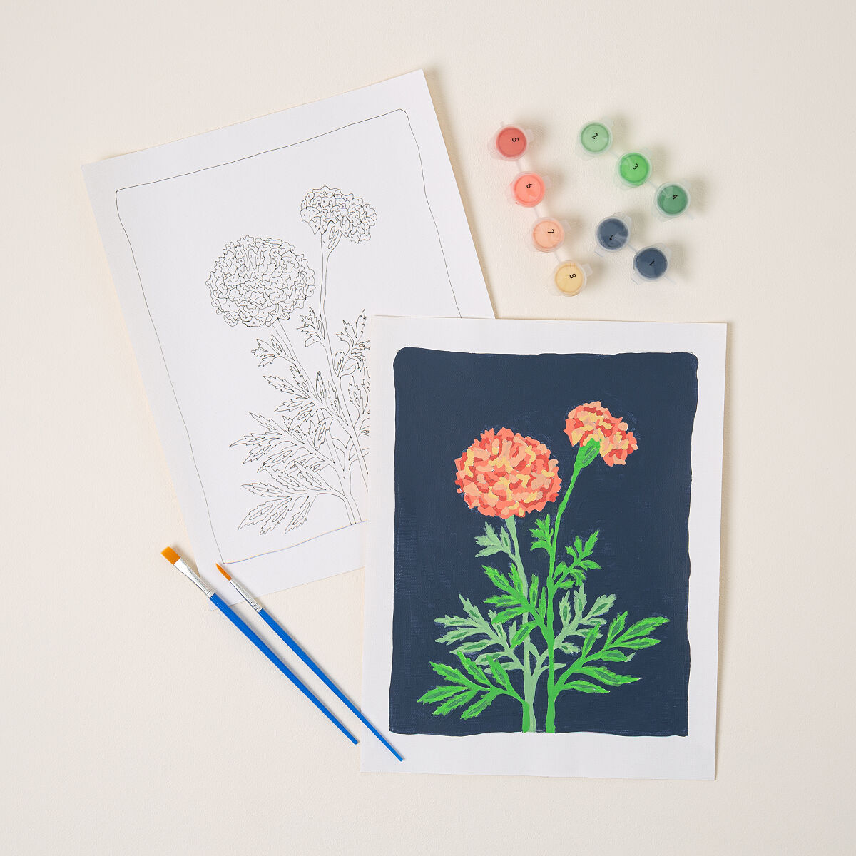 Birth Month Flower Paint-by-Number Kit - October - Marigold