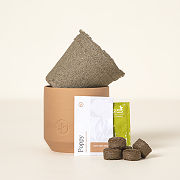 Champagne Poppies Terracotta Grow Kit