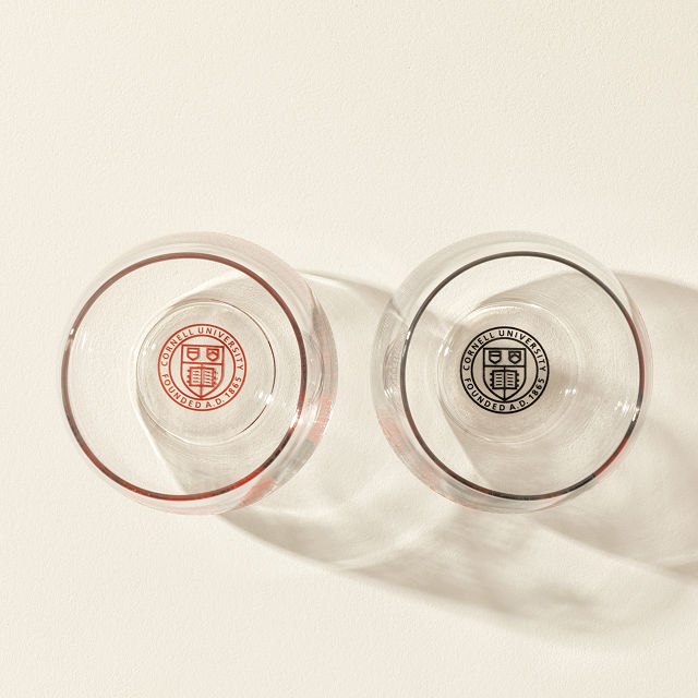 College Cityscape Wine Glasses - Set of 2