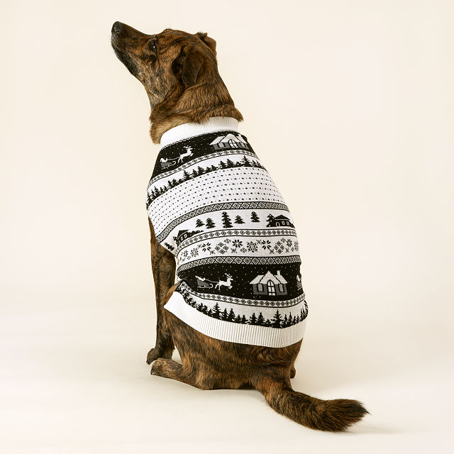 holiday dog sweaters