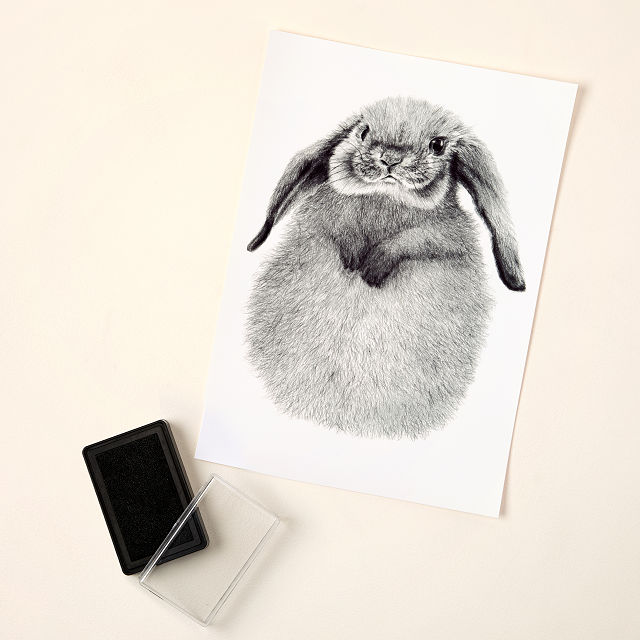 Furry Feet Baby Footprint Kit