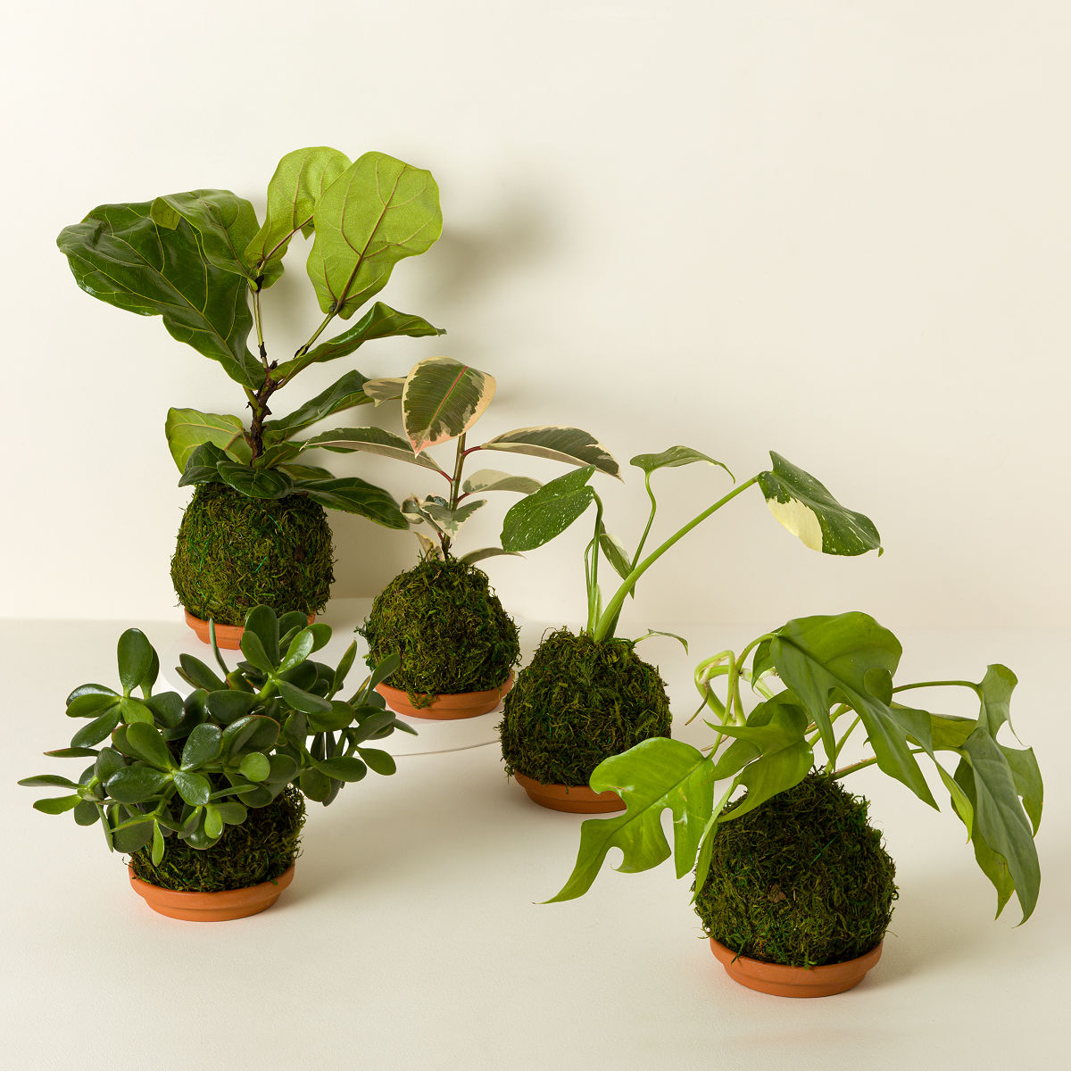 葉巻入れ　工芸品　貝殻　ベトナム 葉巻入れ 工芸品 貝殻 ベトナム 葉巻入れ 工芸品 貝殻 ベトナム