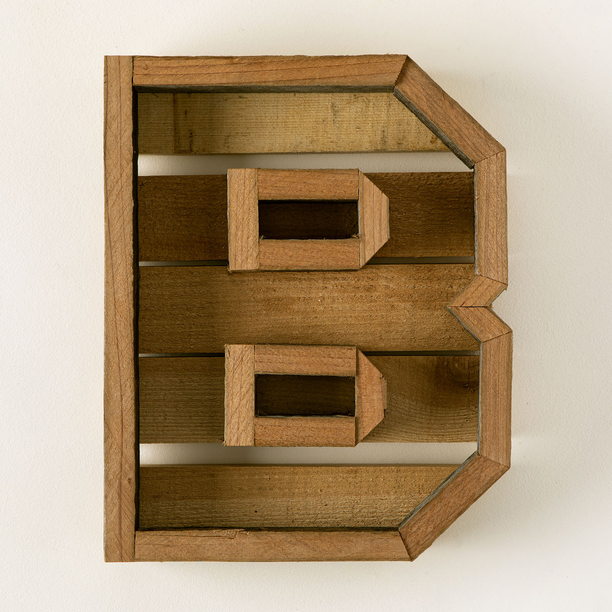 Succulent Letter DIY Kit - B