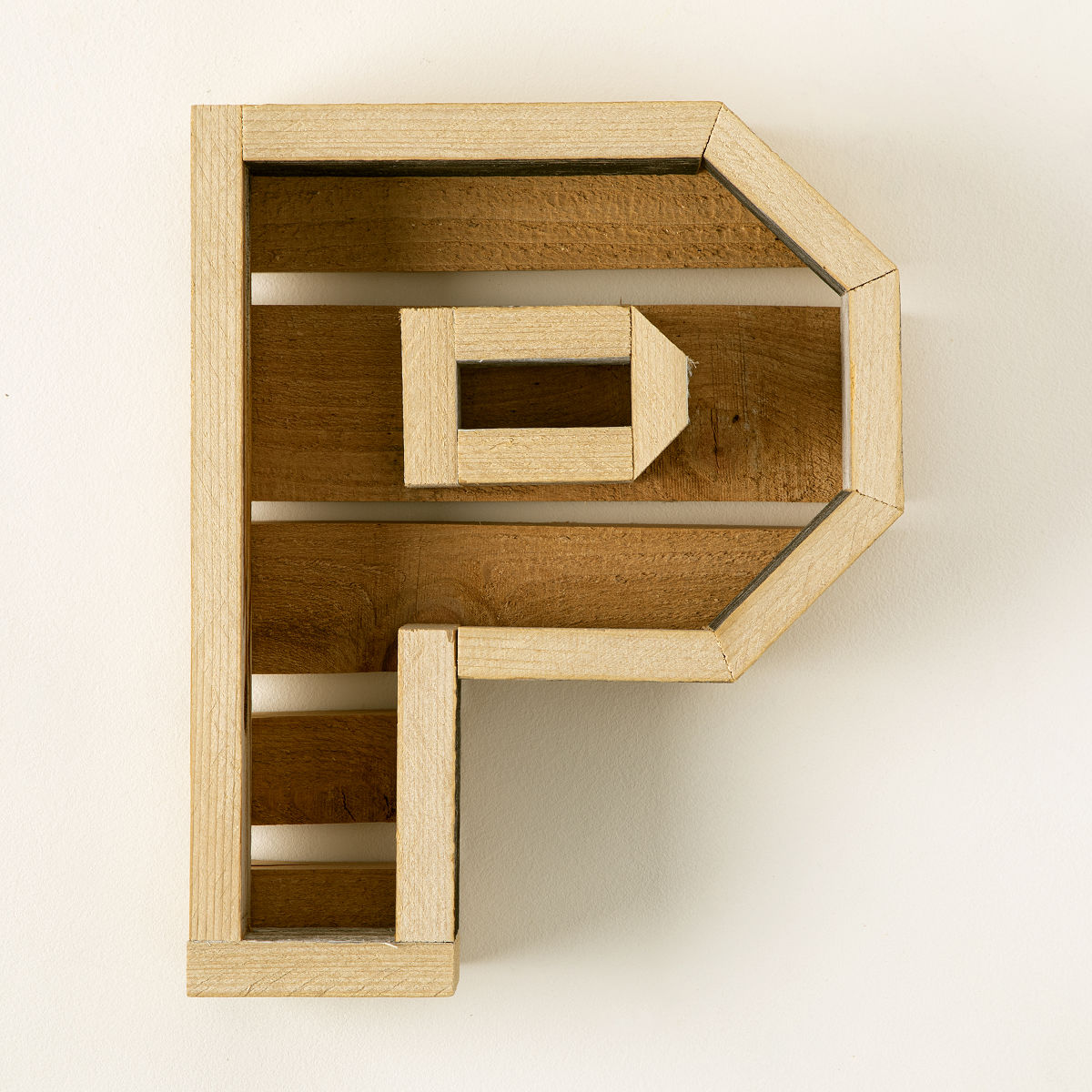 Succulent Letter DIY Kit - P