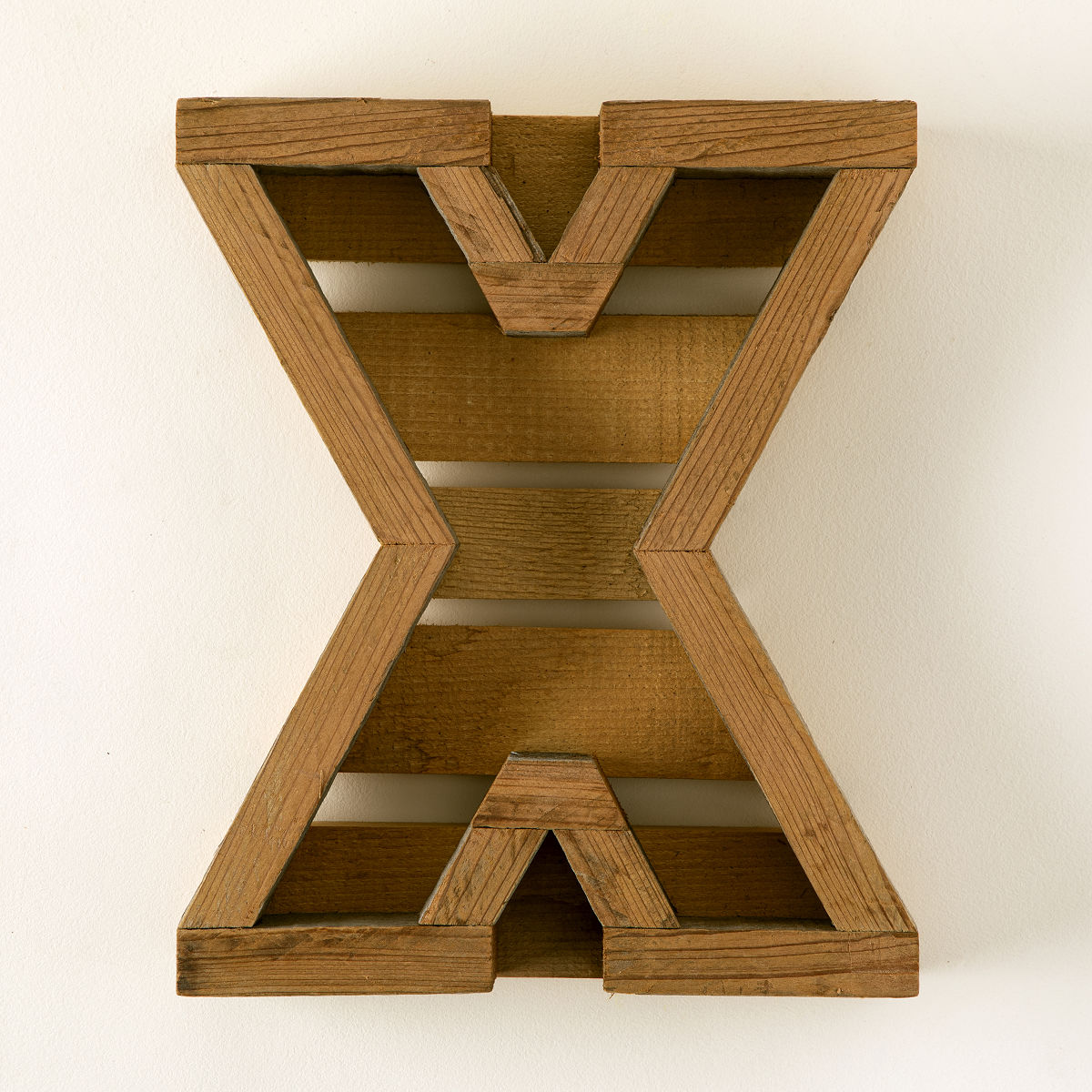 Succulent Letter DIY Kit - X