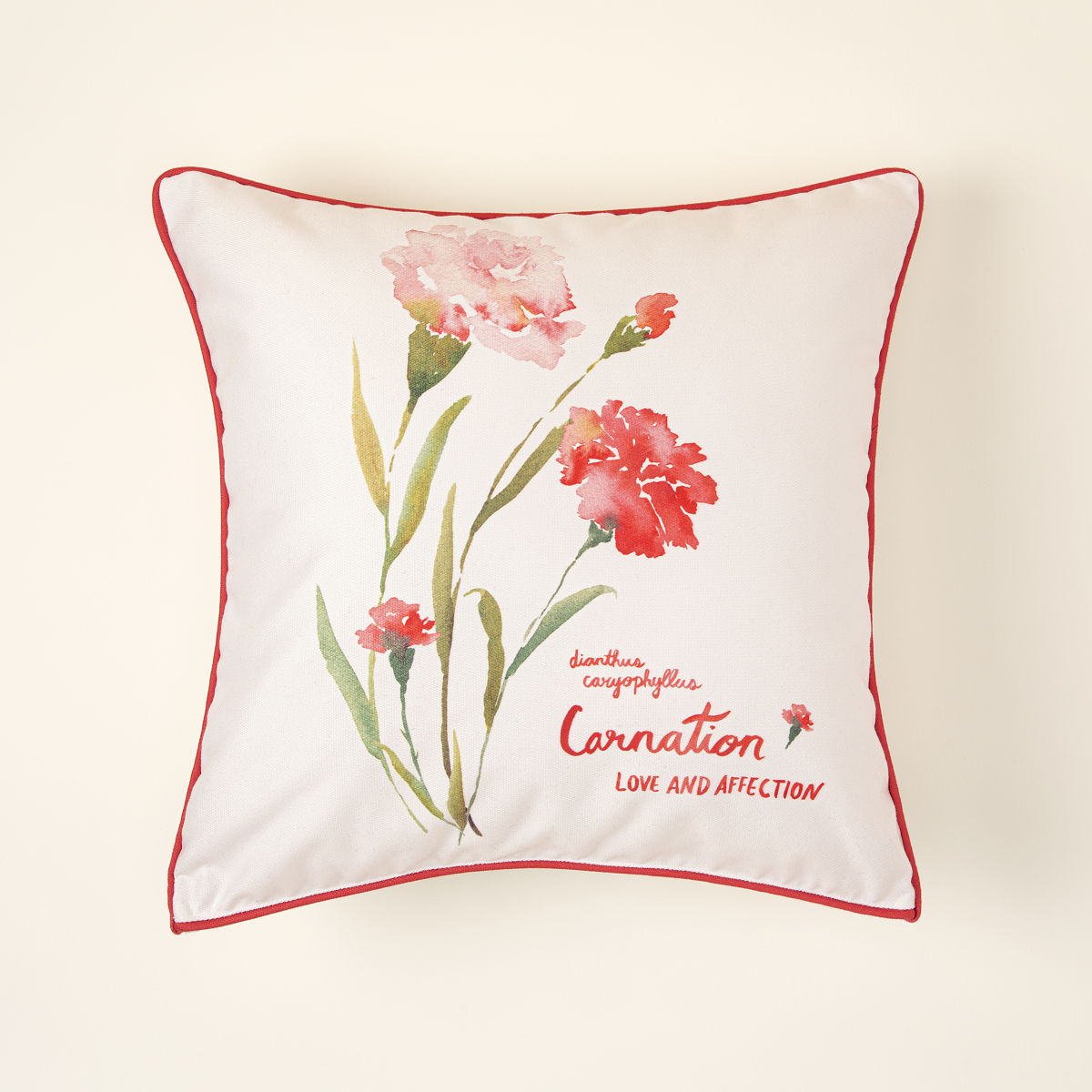 Birth Month Flower Pillow - January - Carnation