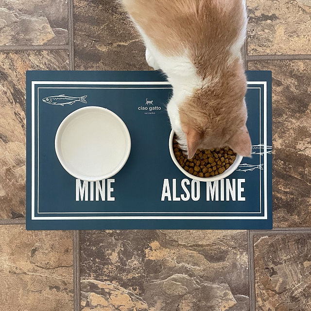 Reversible Pet Placemats Pet Placemats Goods