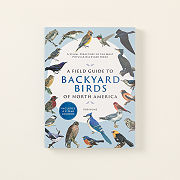A Field Guide to Backyard Birds of North America