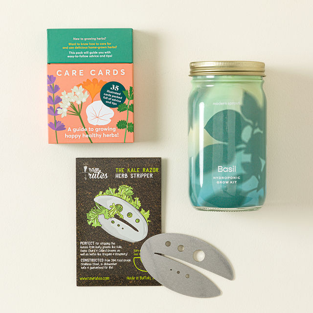 Herb Grower's Gift Set Herb, Basil, Garden Goods