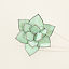 Everlasting Stained Glass Succulents thumbnail 5