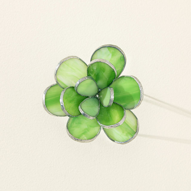 Everlasting Stained Glass Succulents