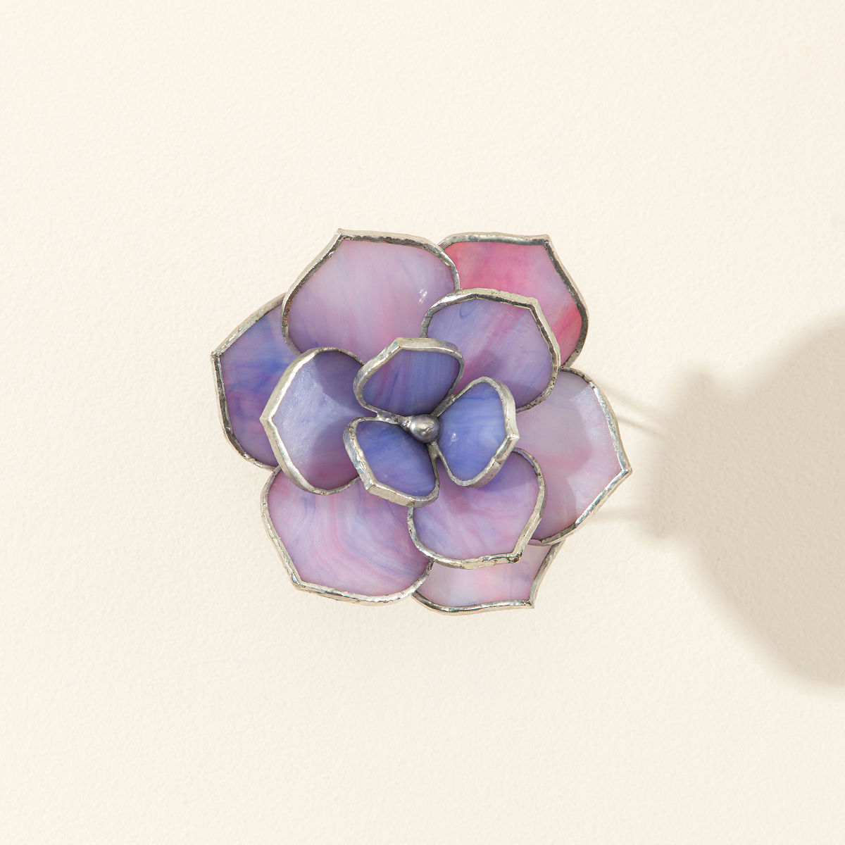 Everlasting Stained Glass Succulents - Graptoveria - Pointed Leaf Succulent