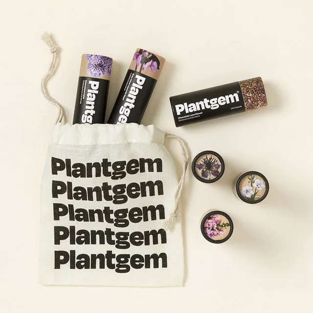 Goods Bee & Butterfly Sanctuary Seed Set Seeds