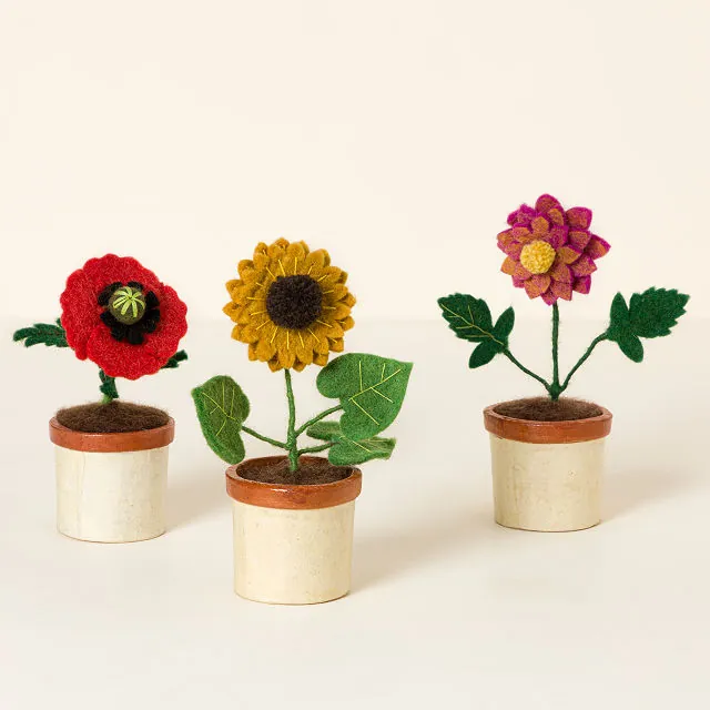 Uncommon Goods | Potted Felt Flowers | Sheeps Wool Flower
