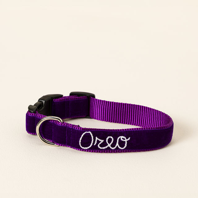 Personalized Hand Embroidered Dog Collar Goods