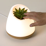 Magic Touch Plant Powered Lamp