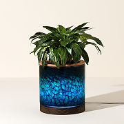 Self-Watering Lamp Planter