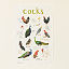 Fowl Language Tea Towel - Peckers & Cocks thumbnail 4