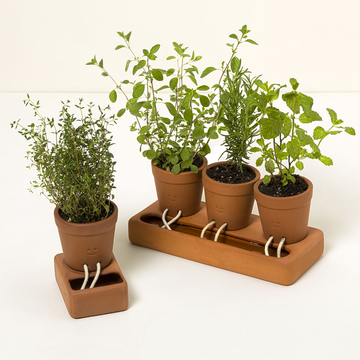 Self-Care Planter