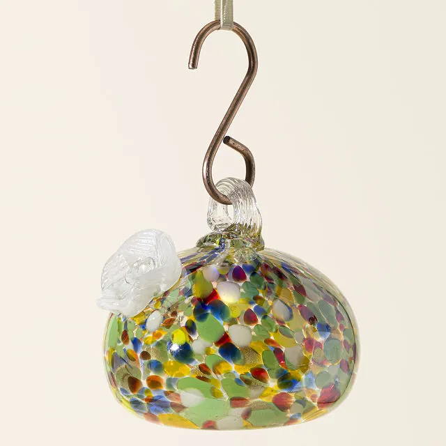 Celebration & Joy - Multicolored