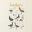 Fowl Language Tea Towel - Hooters & Honkers thumbnail 5