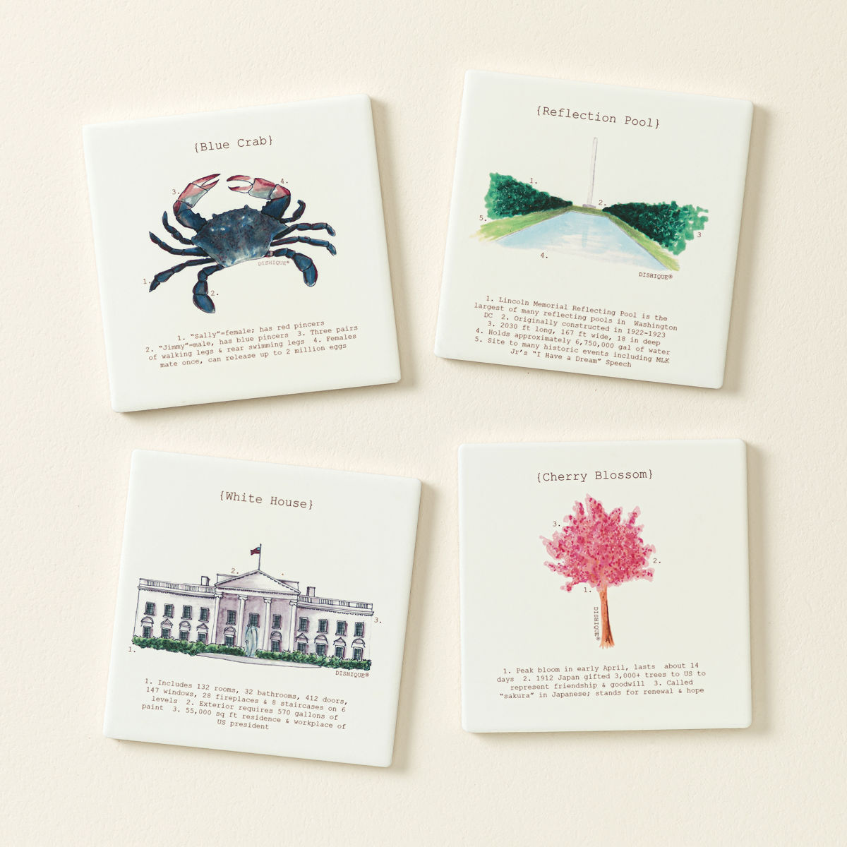 Icons of Your City Coasters - Washington DC