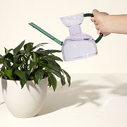 Indoor Handblown Glass Watering Can