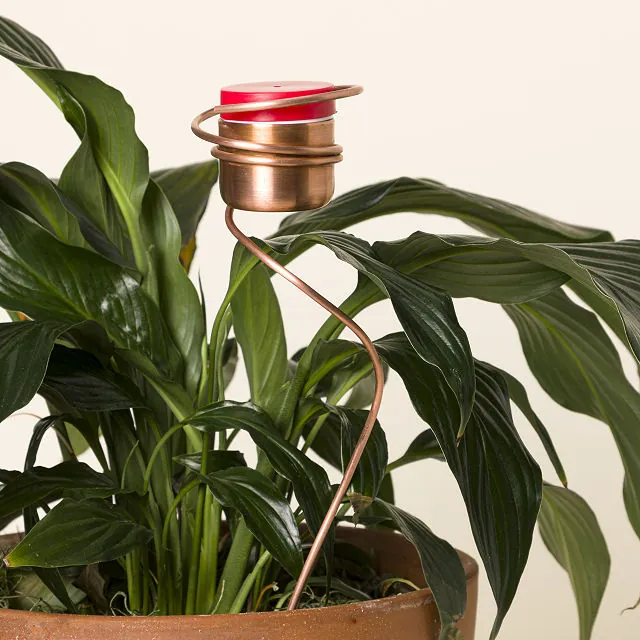 Copper Hummingbird Feeder