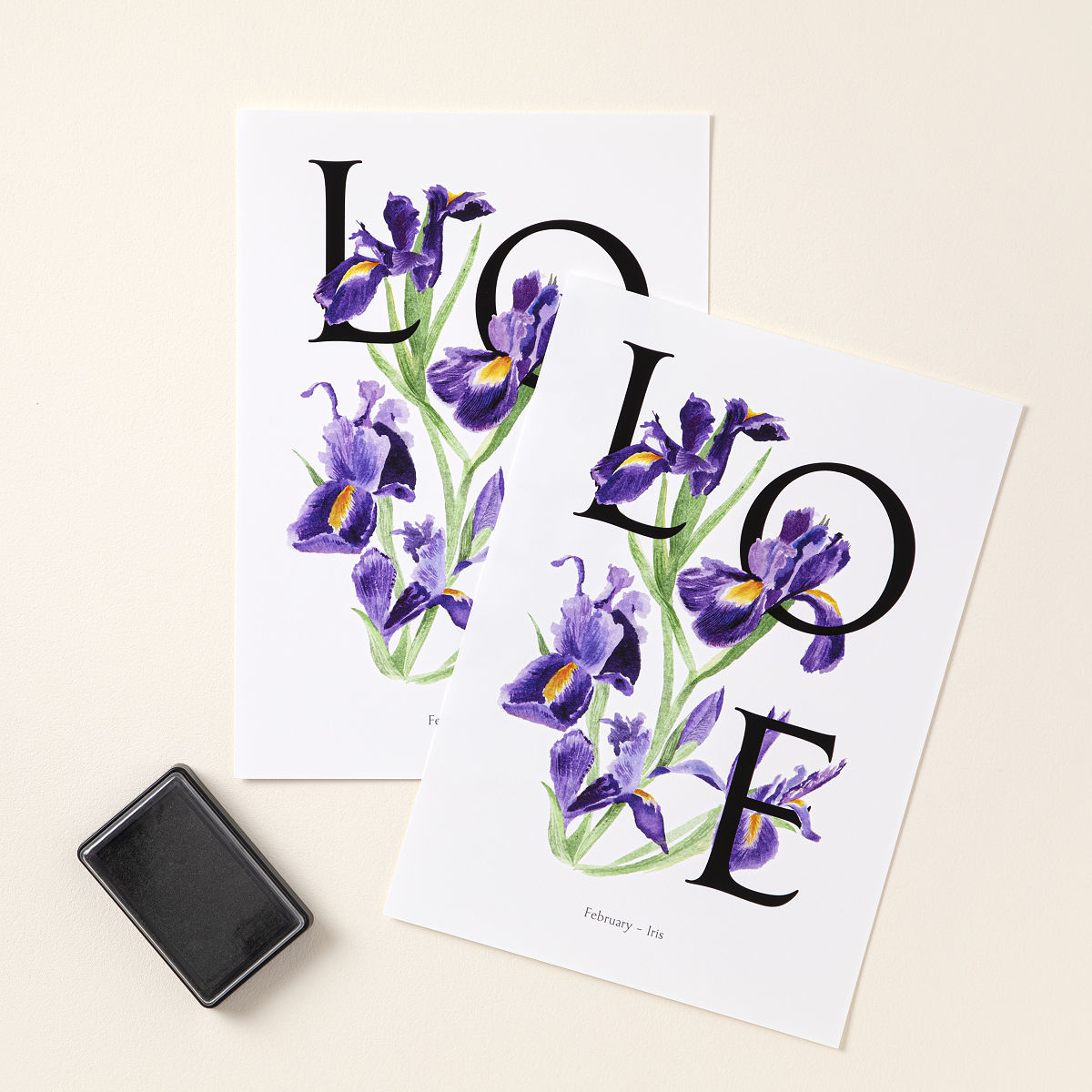 Birth Month Flower Baby Footprint Kit - February - Iris