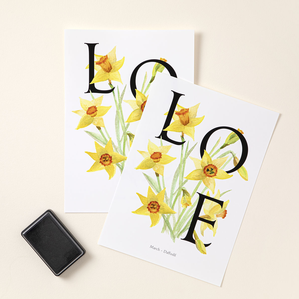 Birth Month Flower Baby Footprint Kit - March - Daffodil