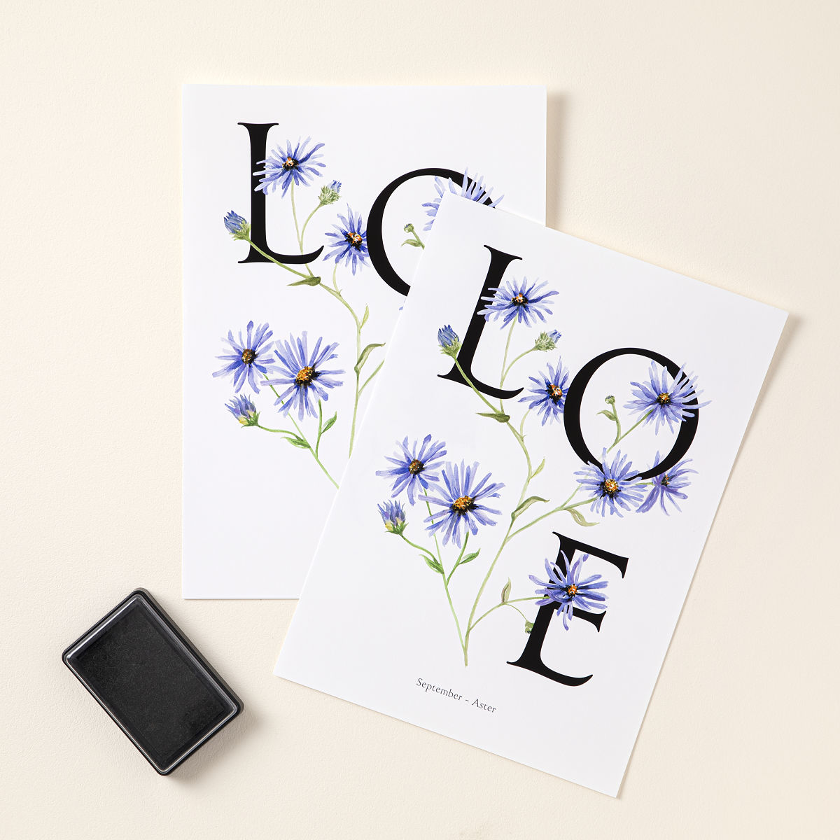 Birth Month Flower Baby Footprint Kit - September - Aster