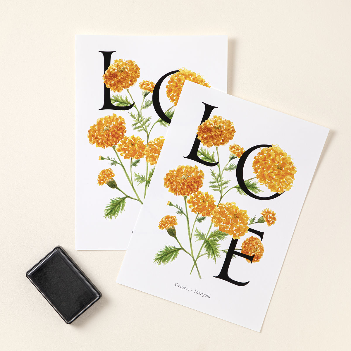 Birth Month Flower Baby Footprint Kit - October - Marigold