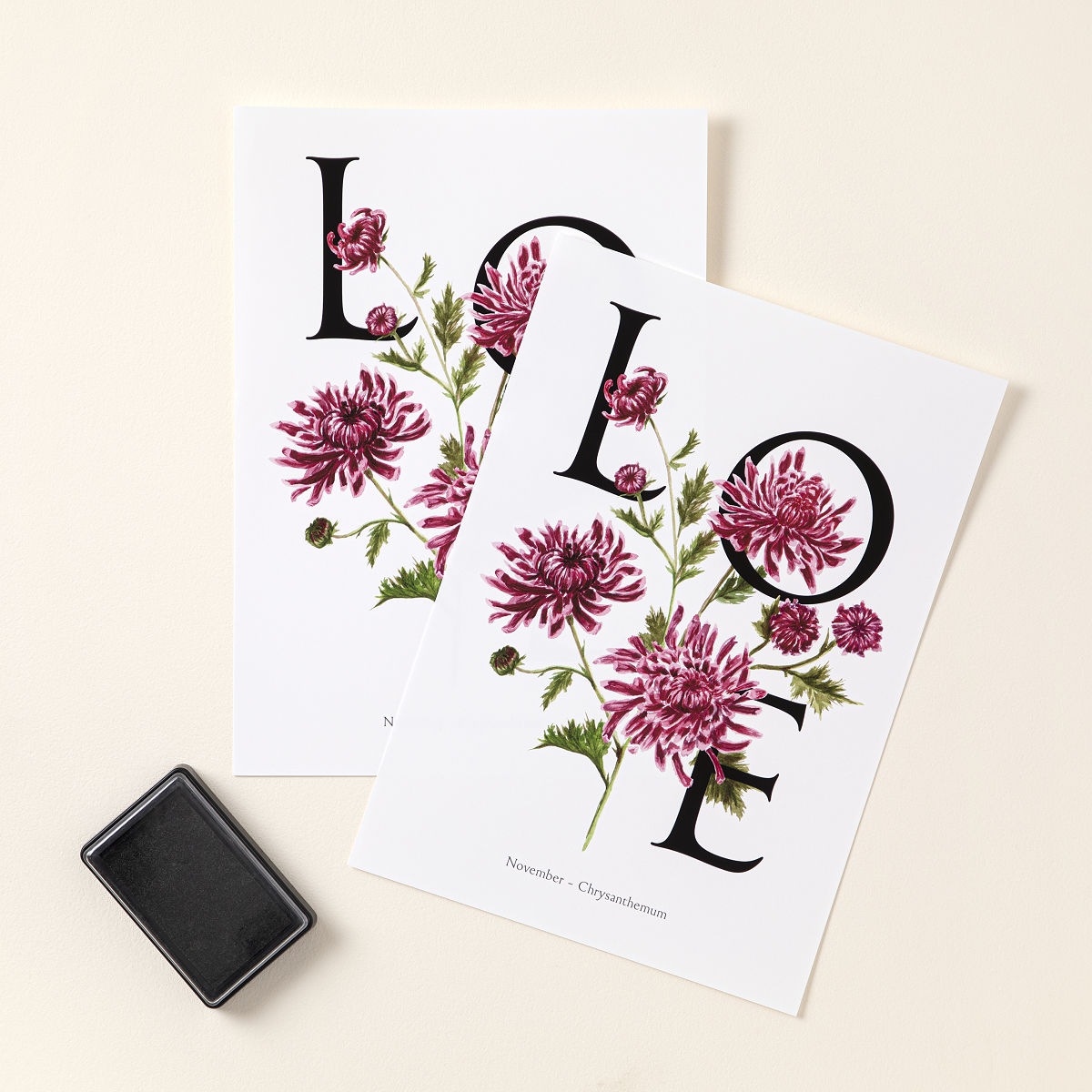 Birth Month Flower Baby Footprint Kit - November - Chrysanthemum