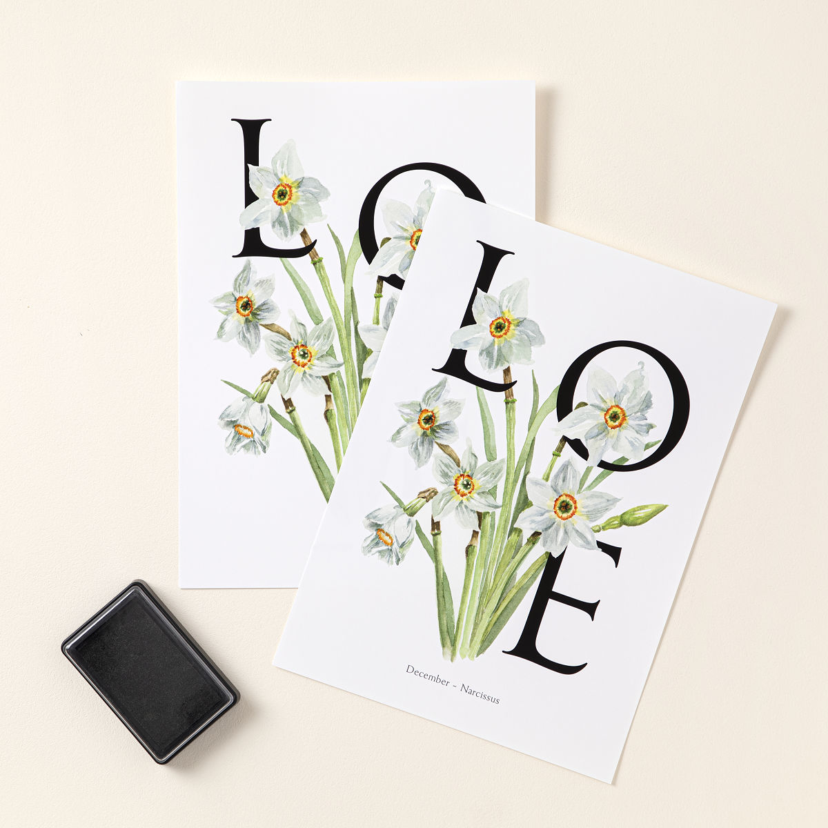 Birth Month Flower Baby Footprint Kit - December - Narcissus